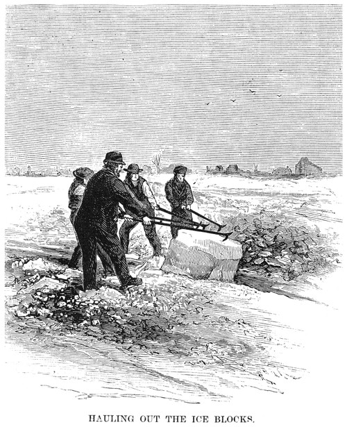 Cutting Ice, 1870. /Nhauling Out Ice Blocks On A Lake In Minnesota. Wood Engraving, American, 1870. Poster Print by Granger Collection - Item # VARGRC0097008