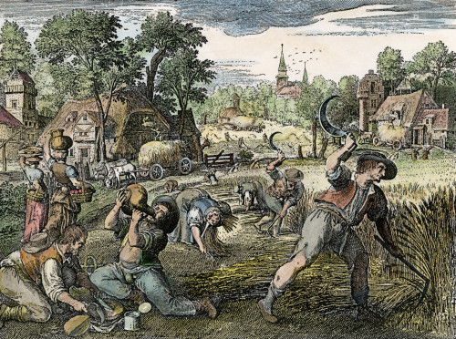 Farming, 17Th Century. /Npeasants Farming. German Copper Engraving, 17Th Century. Poster Print by Granger Collection - Item # VARGRC0075098