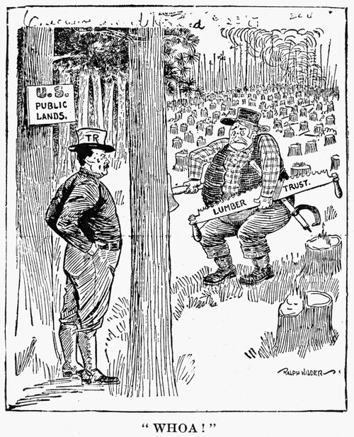 Roosevelt Cartoon, 1900S. /Ncartoon From The Chicago 'Record-Herald,' C1906, On President Theodore Roosevelt'S Order Reserving The Public Timber And Coal Lands. Poster Print by Granger Collection - Item # VARGRC0032285
