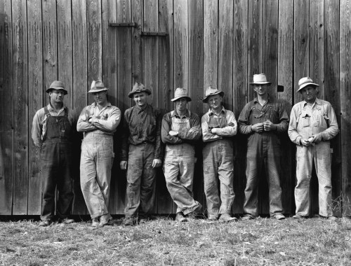 Oregon: Farmers, 1939. /Nfarmers That Bought Machinery Cooperatively While Working On The Miller Farm In West Carlton, Yamhill County, Oregon. Photograph By Dorothea Lange, October 1939. Poster Print by Granger Collection - Item # VARGRC0123506