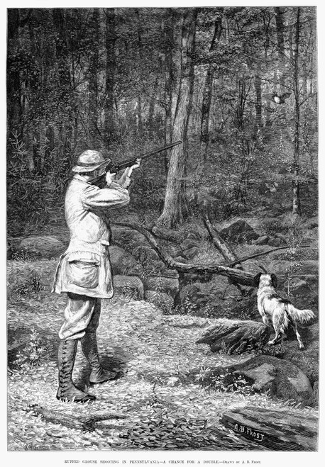 Bird Shooting, 1881. /N'Ruffed Grouse Shooting In Pennsylvania - A Chance For A Double.' Wood Engraving, 1881, After Arthur Burdett Frost. Poster Print by Granger Collection - Item # VARGRC0088238