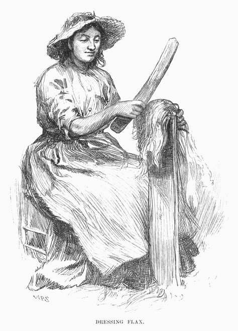 Dressing Flax, 1883. /Ncanadian Woman Dressing Flax For Textile Fiber. Engraving, 1883 Poster Print by Granger Collection - Item # VARGRC0094419