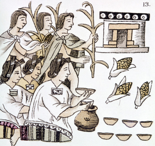 Aztec Harvest Ceremony./Ndrawing From The Codex Florentino, C1540, A Treatise Compiled By Bernardino De Sahagun (1499-1590) On The Aztecs And The Spanish Conquest Of Mexico. Poster Print by Granger Collection - Item # VARGRC0104287