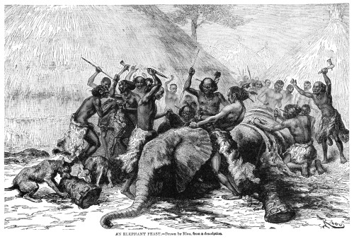 Africa: Khoikhoi./Nmembers Of The Khoikhoi ('Hottentot') Tribe At An Elephant Feast. Wood Engraving, 19Th Century. Poster Print by Granger Collection - Item # VARGRC0032106