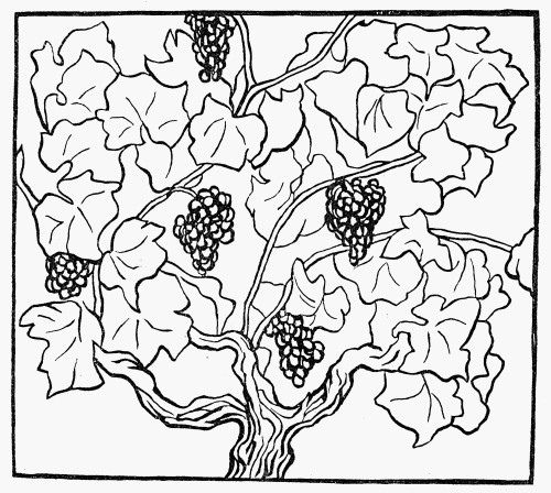 Botany: Grapes, 1910. /Nwoodcut By Aristide Maillol, C1910, For Virgil'S 'Georgics.' Poster Print by Granger Collection - Item # VARGRC0041365
