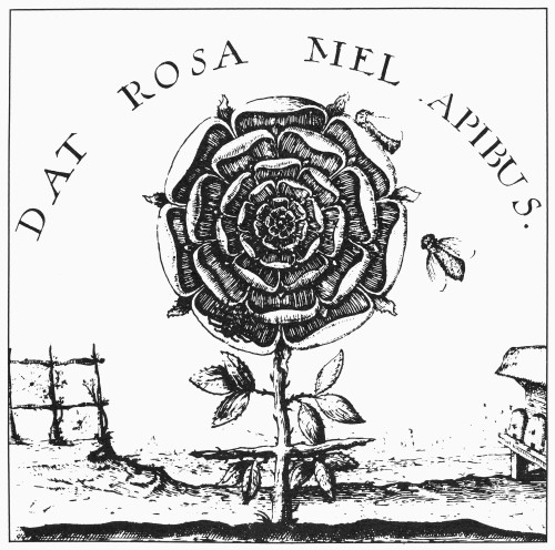 Rosicrucianism. /Nrosicrucian Symbol Of The Rose And Cross. Line Engraving From Robert Fludd'S 'Summum Bonum,' 1629. Poster Print by Granger Collection - Item # VARGRC0092736