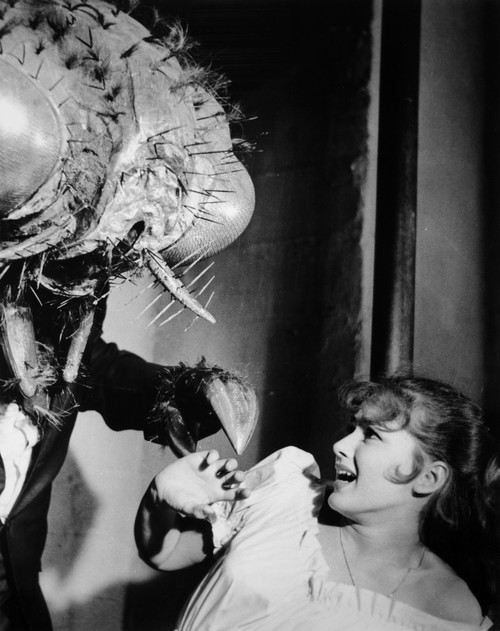 Film: The Fly, 1958. /Nfilm Still From 'The Fly,' 1958. Poster Print by Granger Collection - Item # VARGRC0069454