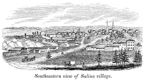 New York: Salina, 1841. /Nsoutheastern View Of Salina, Onondaga County, New York. Wood Engraving, 1841. Poster Print by Granger Collection - Item # VARGRC0082604