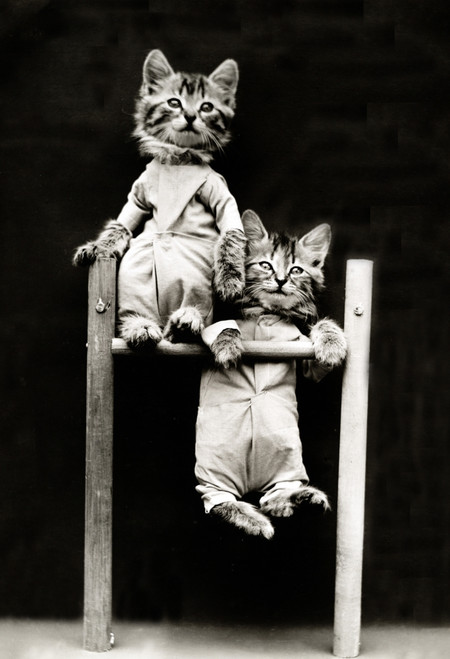 The Acrobats, 1914 Poster Print by Science Source - Item # VARSCIJB6414