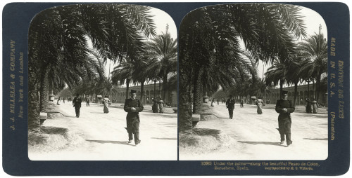 Spain: Barcelona, C1908. /N'Under The Palms - Along The Beautiful Paseo De Colon, Barcelona, Spain.' Stereograph, C1908. Poster Print by Granger Collection - Item # VARGRC0323730