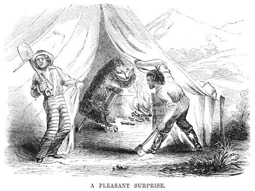 Gold Mining Camp, 1853. /N'A Pleasant Surprise.' Gold Miners Encounter A Bear Warming Itself By The Fire Inside Their Tent. Wood Engraving, American, 1853. Poster Print by Granger Collection - Item # VARGRC0079117