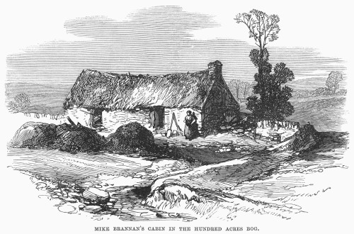 Ireland: Cabin, 1870./Na Tenant Farmer'S Cabin In Ireland. Wood Engraving, English, 1870. Poster Print by Granger Collection - Item # VARGRC0089466