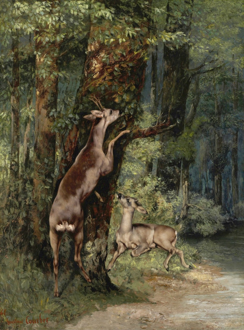 Courbet: Deer, 1868. /N'Deer In The Forest.' Oil On Canvas, Gustave Courbet, 1868. Poster Print by Granger Collection - Item # VARGRC0433840