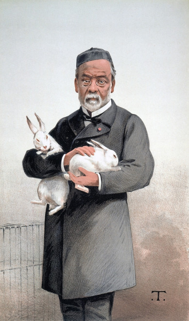 Louis Pasteur (1822-1895). /Nfrench Chemist And Microbiologist. Caricature Lithograph, 1887, By Th_Obald Chartran. Poster Print by Granger Collection - Item # VARGRC0061859