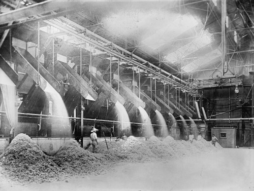 Hawaii: Sugar Refinery. /Nthe Delivery Of Bagasse, The By-Product Of Sugar Cane After The Juice Is Extracted, To A Room In A Sugar Refinery In Hawaii. Photograph, C1915. Poster Print by Granger Collection - Item # VARGRC0118208