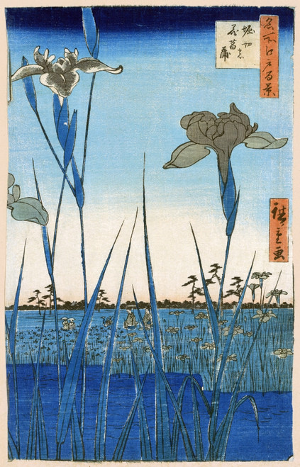 Japan: Iris Garden, 1857. /N'Horikiri Iris Garden.' Woodcut By Hiroshige Ando, 1857. Poster Print by Granger Collection - Item # VARGRC0116373