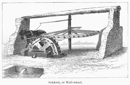 Irrigation Machine. /Na Sakkieh, An Irrigation Machine Of Western Asia. Line Engraving, 19Th Century. Poster Print by Granger Collection - Item # VARGRC0102152