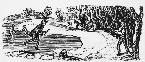 Farming: Almanac Cut. /Nwood Engraving, American, 19Th Century. Poster Print by Granger Collection - Item # VARGRC0077983