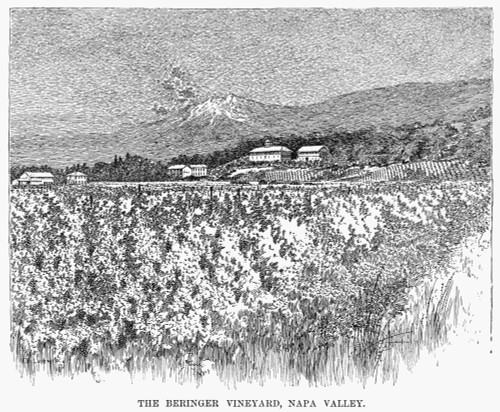 California: Vineyard, 1889. /Nthe Beringer Vineyards In Napa Valley, California. Wood Engraving, American, 1889. Poster Print by Granger Collection - Item # VARGRC0101699