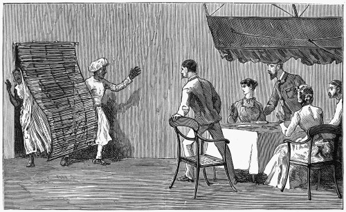 India: Snake, 1887. /N'A Snake In The House' Of A British Family. Wood Engraving, English, 1887. Poster Print by Granger Collection - Item # VARGRC0371100