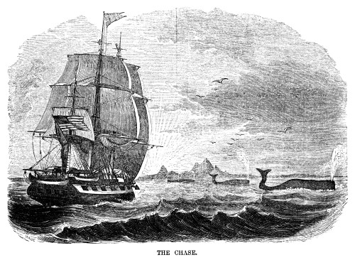 Whaling, 1855. /N'The Chase.' An American Whaling Ship Approaching A Pod Of Whales. Wood Engraving, American, 1855. Poster Print by Granger Collection