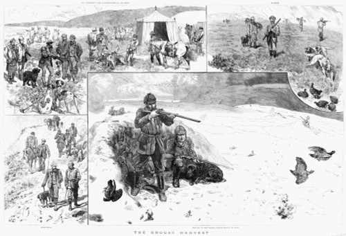 Grouse Hunting, 1887. /N'The Grouse Harvest.' Engraving, English 1887. Poster Print by Granger Collection - Item # VARGRC0264950