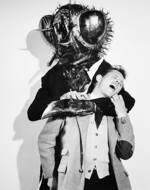 Film: The Fly, 1958. /Nfilm Still From 'The Fly,' 1958. Poster Print by Granger Collection - Item # VARGRC0069451