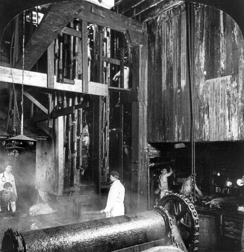 Chicago: Meatpacking. /Nan Automatic Scraping Machine With The Capacity For 1000 Hogs Per Hour At The Swift And Company Meatpacking House In Chicago, Illinois. Stereograph, C1906. Poster Print by Granger Collection - Item # VARGRC0117029