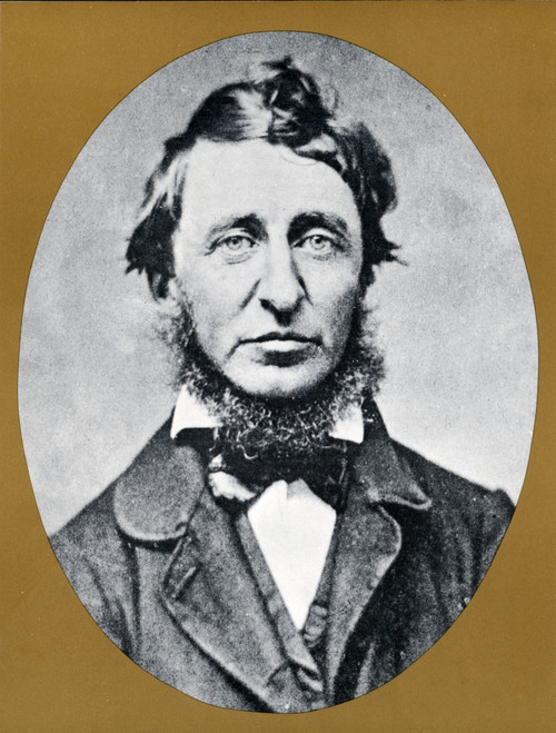 Henry David Thoreau, American Author Poster Print by Science Source - Item # VARSCIJC3321