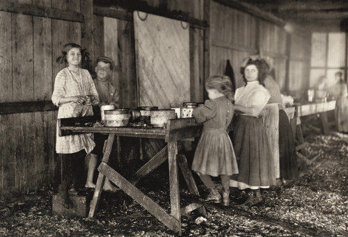 Hine: Child Labor, 1911. /Na Group Of Shrimp Pickers In The Peerless Oyster Co., Working During The Short Noon Recess In Bay St. Louis, Mississippi. Photograph By Lewis Hine, March 1911. Poster Print by Granger Collection - Item # VARGRC0166794