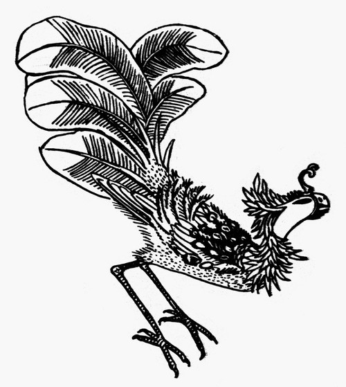 Chinese Mythology: Phoenix. /Nchinese Phoenix, Symbol Of Peace And Prosperity. Line Engraving. Poster Print by Granger Collection - Item # VARGRC0097829