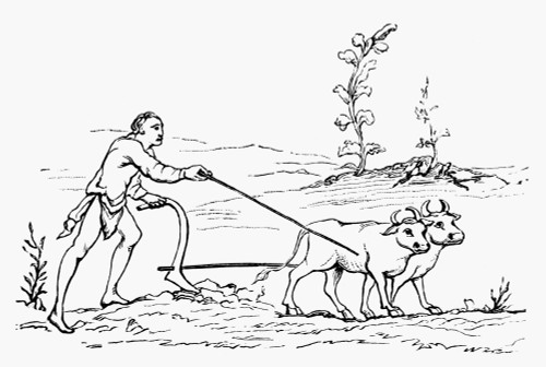 Plowing, 11Th Century. /Nafter An Illumination In An 11Th Century English Manuscript. Poster Print by Granger Collection - Item # VARGRC0006627