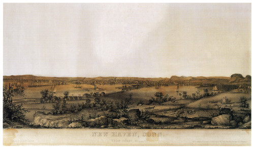 New Haven, 1849. /Nnew Haven, Connecticut, Viewed From Ferry Hill. Lithograph, 1849. Poster Print by Granger Collection - Item # VARGRC0620136