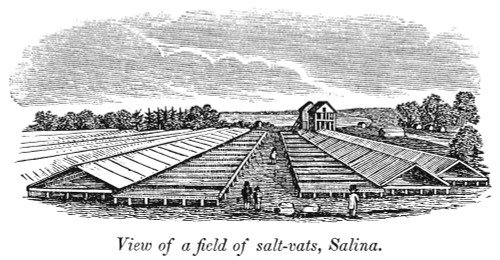 New York: Salina, 1841. /Nview Of A Field Of Salt-Vats, Salina, New York. Wood Engraving, 1841. Poster Print by Granger Collection - Item # VARGRC0082605