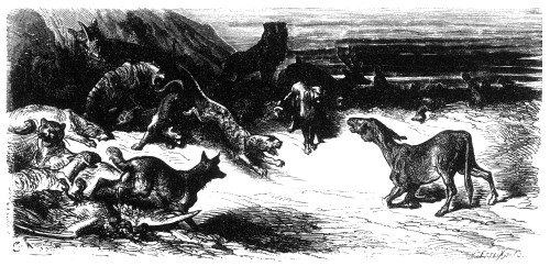 Animals Sick Of The Plague. /Nstory By Jean De La Fontaine (1621-1695), French Poet. Wood Engraving After Gustave Dor_ (1832-1883). Poster Print by Granger Collection - Item # VARGRC0066749