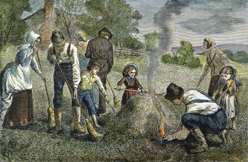 Grasshopper Plague, 1875. /Nfarmers Fighting A Grasshopper Plague In Kansas In 1875. Color Engraving, American, 1875. Poster Print by Granger Collection - Item # VARGRC0009442 Grasshopper Plague, 1875. /Nfarmers Fighting A Grasshopper Plague In Kansas In 1875. Color Engraving, American, 1875. Poster Print by Granger Collection - Item # VARGRC0009442