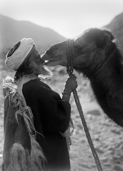 Egypt: Traveler. /Nan Egyptian Traveler And His Camel. Photograph, Early 20Th Century. Poster Print by Granger Collection - Item # VARGRC0113306