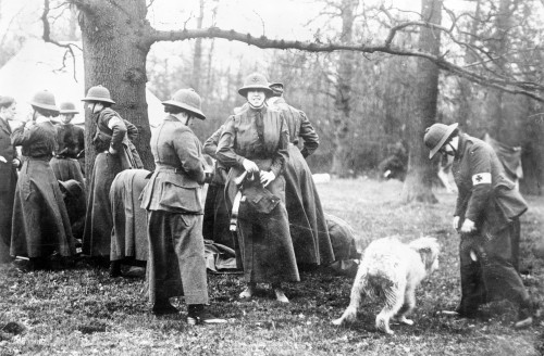 Wwi: Women'S Corps, C1914. /Nthe Women'S Sick And Wounded Convoy Corps In England. Photograph, C1914. Poster Print by Granger Collection - Item # VARGRC0354088