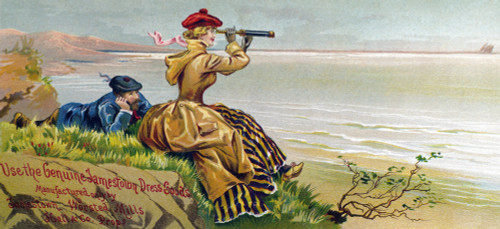 Clothing Trade Card, C1890. /Ndress Goods By Jamestown Worsted Mills. American Merchant'S Trade Card, C1890. Poster Print by Granger Collection - Item # VARGRC0098231