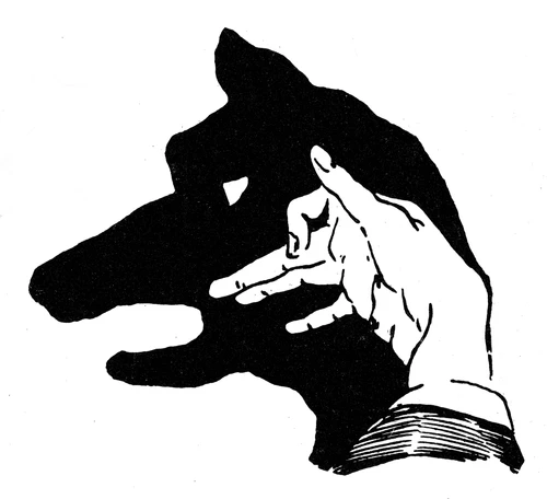 Shadowgraphy, Dog Poster Print by Science Source