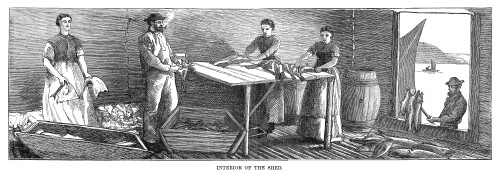 Canada: Fishing, 1875. /Nworkers Cleaning Fish In A Shed At The Cod Fishery Off Newfoundland. Engraving, 1875. Poster Print by Granger Collection - Item # VARGRC0267456