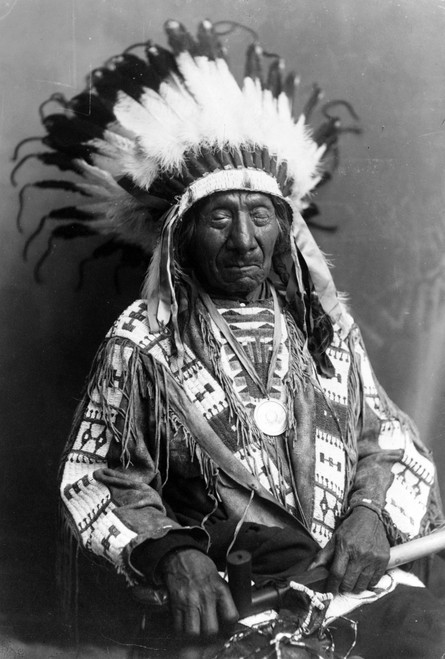 Red Cloud, Oglala Lakota Indian Chief Poster Print by Science Source - Item # VARSCIJA8643