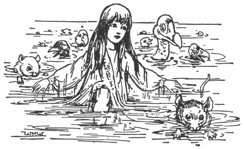 Carroll: Alice, 1907. /Nillustration By W.H. Walker For Lewis Carroll'S 'Alice'S Adventures In Wonderland.' Illustration, 1907. Poster Print by Granger Collection - Item # VARGRC0433947