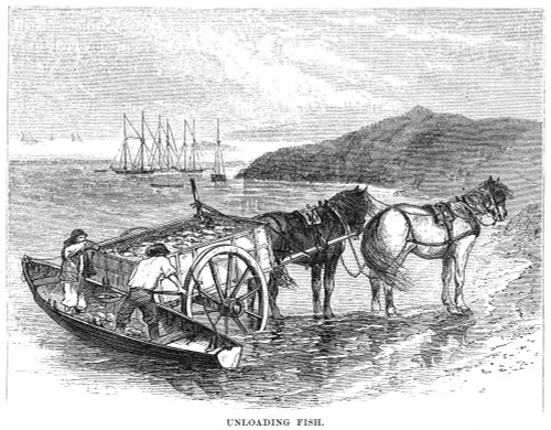 Marblehead, Massachusetts /Nunloading A Catch At Marblehead, Massachusetts: Wood Engraving, 1875. Poster Print by Granger Collection - Item # VARGRC0042239 Marblehead, Massachusetts /Nunloading A Catch At Marblehead, Massachusetts: Wood Engraving, 1875. Poster Print by Granger Collection - Item # VARGRC0042239