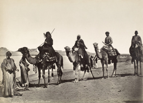 Camel Caravan, C1900. /Na Camel Caravan At El Qantara, Egypt, On The East Bank Of The Suez Canal, C1900. Poster Print by Granger Collection - Item # VARGRC0081513
