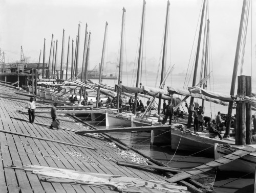 New Orleans: Oysters, C1900. /Noyster Luggers Aboard Sailboats At The Levee In New Orleans, Louisiana. Photograph, C1900. Poster Print by Granger Collection - Item # VARGRC0130839
