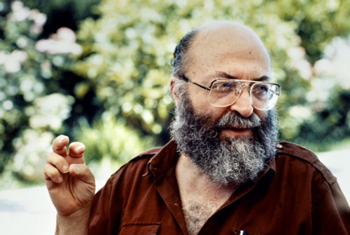 Chaim Potok (1929-2002). /Namerican Writer. Photograph, N.D. Poster Print by Granger Collection - Item # VARGRC0115552