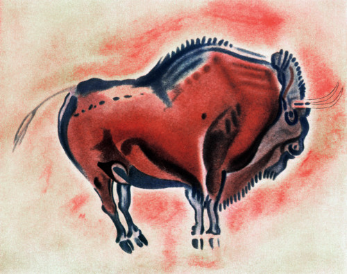 Spain: Prehistoric Bison. /Nstanding Bison Bull. Color Wall Painting Of The Old Stone Age Discovered In The Altamira Caverns Of Northern Spain In 1879. Poster Print by Granger Collection - Item # VARGRC0028336