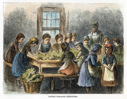 Child Labor, 1873. /Nchildren Stripping Tobacco In A New York City Factory. American Wood Engraving, 1873. Poster Print by Granger Collection - Item # VARGRC0010538 Child Labor, 1873. /Nchildren Stripping Tobacco In A New York City Factory. American Wood Engraving, 1873. Poster Print by Granger Collection - Item # VARGRC0010538