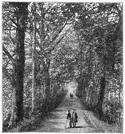 Oxford: Walkway. /Nview Of Addison'S Walk, Magdalen College, On The Campus Of Oxford Unviersity, Oxford, England. Wood Engraving, English, C1885. Poster Print by Granger Collection - Item # VARGRC0094655